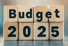 Budget 2025 predictions